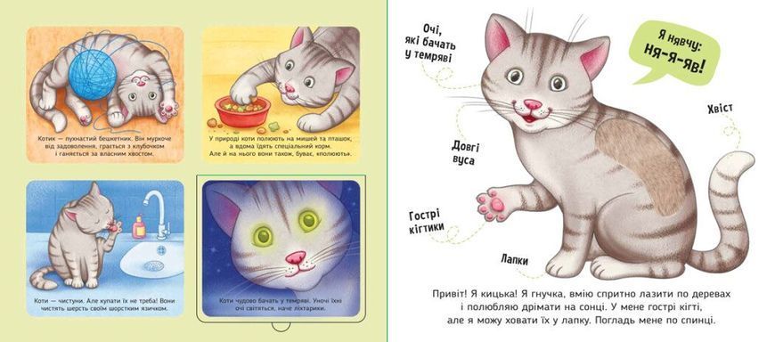 Тактильна книга Мої улюбленці. Познайомся і погладь 2439306926 фото