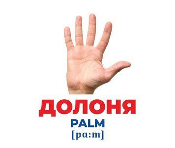 Геній з пелюшок.Будова тіла. Демонстраційний матеріал 10107202У 10107202У фото